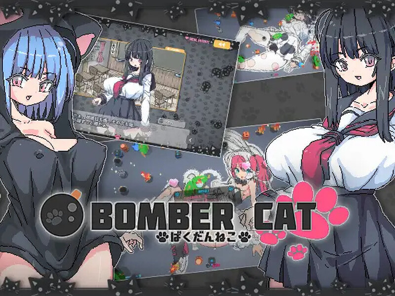 炸弹猫（ばくだんねこ）V2.0.5 DL官方中文 双端 官中版 预览图