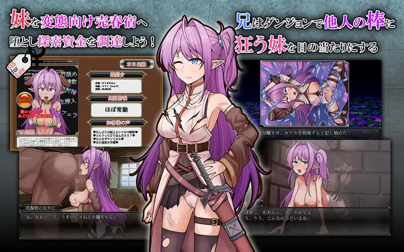 DL10月新作 回合RPG/幻想/战斗H 发情精灵妹妹剑士塞莉卡（ネトラレ発情エルフ妹剣士セリカ）V1.0 PC端 AI汉化版 预览图