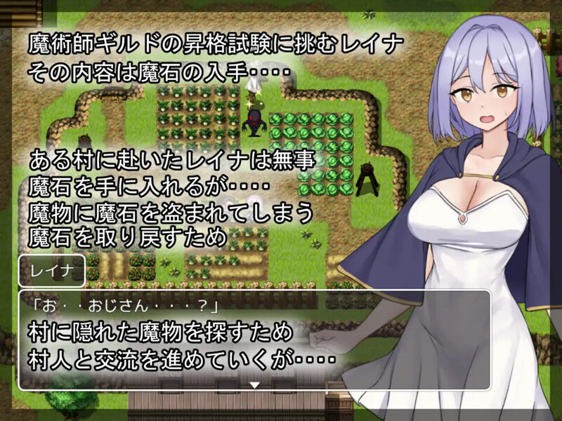 蕾娜的魔石与升级测验 レイナの魔石と昇格試験 V1.0 PC端 AI汉化版 预览图